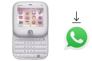 Cómo instalar WhatsApp en un NGM Vanity