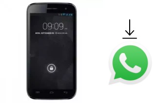 Cómo instalar WhatsApp en un Ninetology I9501