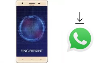 Cómo instalar WhatsApp en un Nipda Tsunami-F9