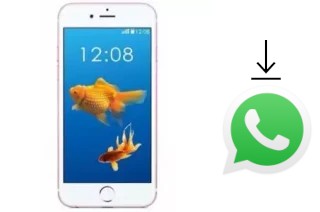 Cómo instalar WhatsApp en un Nipda Tsunami IP6 Plus