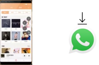 Cómo instalar WhatsApp en un nubia Z17S