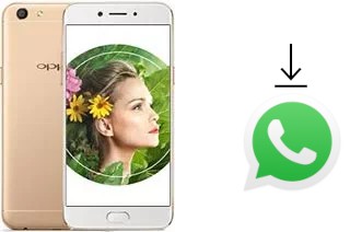 Cómo instalar WhatsApp en un Oppo A77