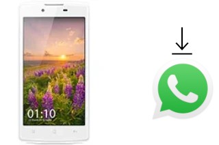 Cómo instalar WhatsApp en un Oppo Neo 3