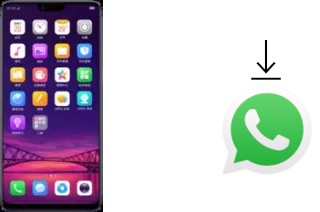 Cómo instalar WhatsApp en un Oppo R15 Dream Mirror