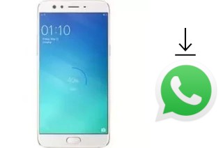 Cómo instalar WhatsApp en un Oppo R9S Pro