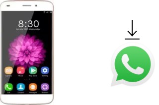 Cómo instalar WhatsApp en un Oukitel U10