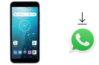 Cómo instalar WhatsApp en un Qilive 5033F