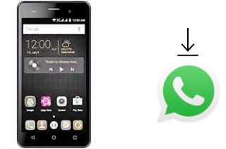 Cómo instalar WhatsApp en un QMobile Noir i6 Metal HD