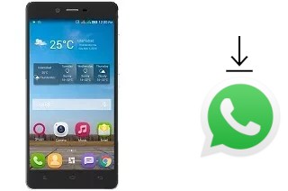 Cómo instalar WhatsApp en un QMobile Noir M300