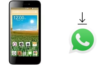 Cómo instalar WhatsApp en un QMobile Noir X800