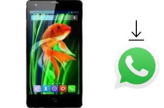 Cómo instalar WhatsApp en un QSmart MB5011