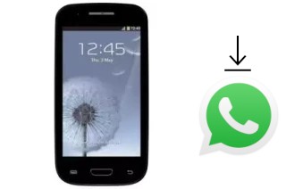 Cómo instalar WhatsApp en un Ritmix RMP-391