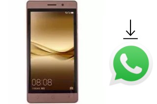 Cómo instalar WhatsApp en un ROYQUEEN RoyQueen Regal RQ540