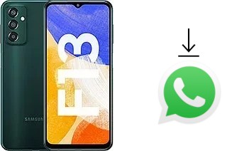 Cómo instalar WhatsApp en un Samsung Galaxy F13