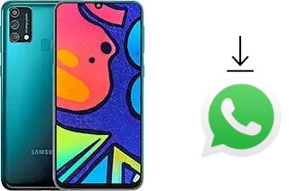 Cómo instalar WhatsApp en un Samsung Galaxy F41