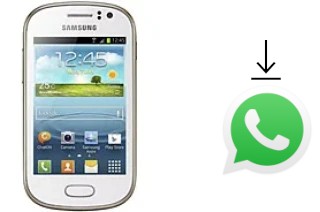 Cómo instalar WhatsApp en un Samsung Galaxy Fame S6810