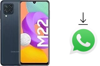 Cómo instalar WhatsApp en un Samsung Galaxy M22