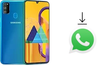 Cómo instalar WhatsApp en un Samsung Galaxy M30s