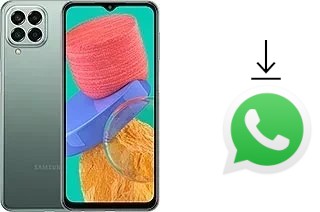 Cómo instalar WhatsApp en un Samsung Galaxy M33