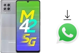 Cómo instalar WhatsApp en un Samsung Galaxy M42 5G