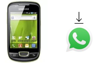 Cómo instalar WhatsApp en un Samsung Galaxy Mini S5570