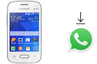 Cómo instalar WhatsApp en un Samsung Galaxy Pocket 2