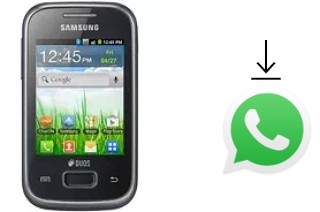 Cómo instalar WhatsApp en un Samsung Galaxy Pocket Duos S5302