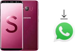 Cómo instalar WhatsApp en un Samsung Galaxy S Light Luxury