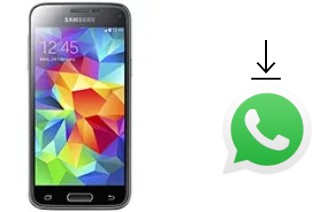 Cómo instalar WhatsApp en un Samsung Galaxy S5 mini Duos