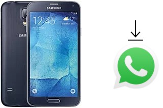 Cómo instalar WhatsApp en un Samsung Galaxy S5 Neo