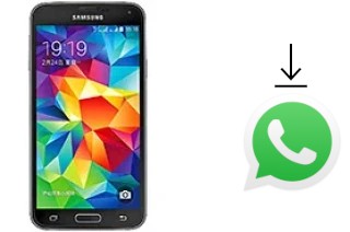 Cómo instalar WhatsApp en un Samsung Galaxy S5 Duos