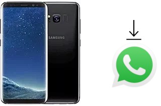 Cómo instalar WhatsApp en un Samsung Galaxy S8