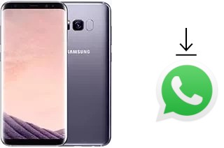 Cómo instalar WhatsApp en un Samsung Galaxy S8+