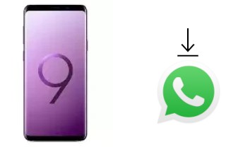 Cómo instalar WhatsApp en un Samsung Galaxy S9 Exynos