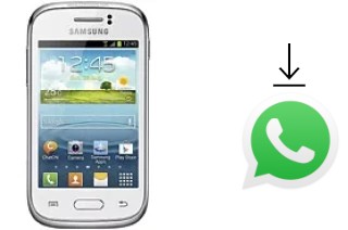 Cómo instalar WhatsApp en un Samsung Galaxy Young S6310