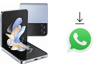 Cómo instalar WhatsApp en un Samsung Galaxy Z Flip4