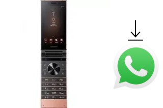 Cómo instalar WhatsApp en un Samsung W2019