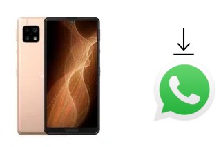 Cómo instalar WhatsApp en un Sharp Aquos Sense4