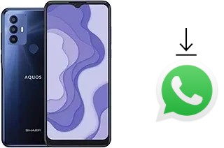 Cómo instalar WhatsApp en un Sharp Aquos V6 Plus