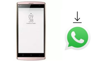 Cómo instalar WhatsApp en un SingTech P501