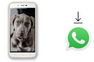 Cómo instalar WhatsApp en un Siswoo A6 Vanilla