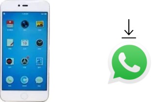 Cómo instalar WhatsApp en un Smartisan M1