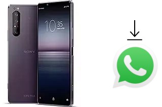 Cómo instalar WhatsApp en un Sony Xperia 1 II