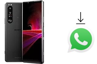 Cómo instalar WhatsApp en un Sony Xperia 1 III