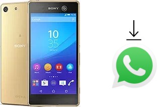 Cómo instalar WhatsApp en un Sony Xperia M5 Dual