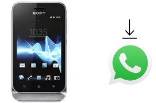 Cómo instalar WhatsApp en un Sony Xperia tipo dual