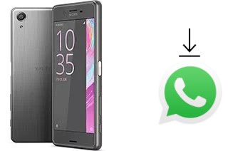 Cómo instalar WhatsApp en un Sony Xperia X Performance