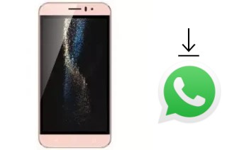 Cómo instalar WhatsApp en un SSKY Y444