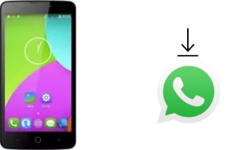 Cómo instalar WhatsApp en un TCL 302U