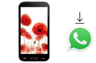 Cómo instalar WhatsApp en un TELEFUNKEN TF-SP5302